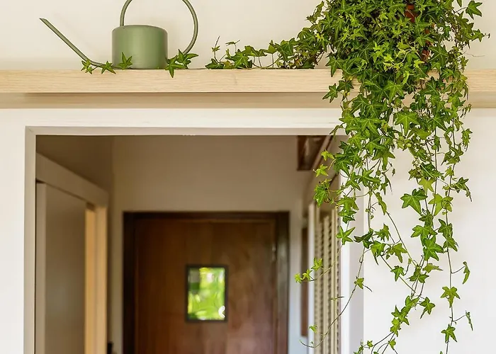 Apartment Estudio Do Largo - *