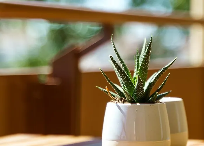 Estudio Do Largo - Apartment